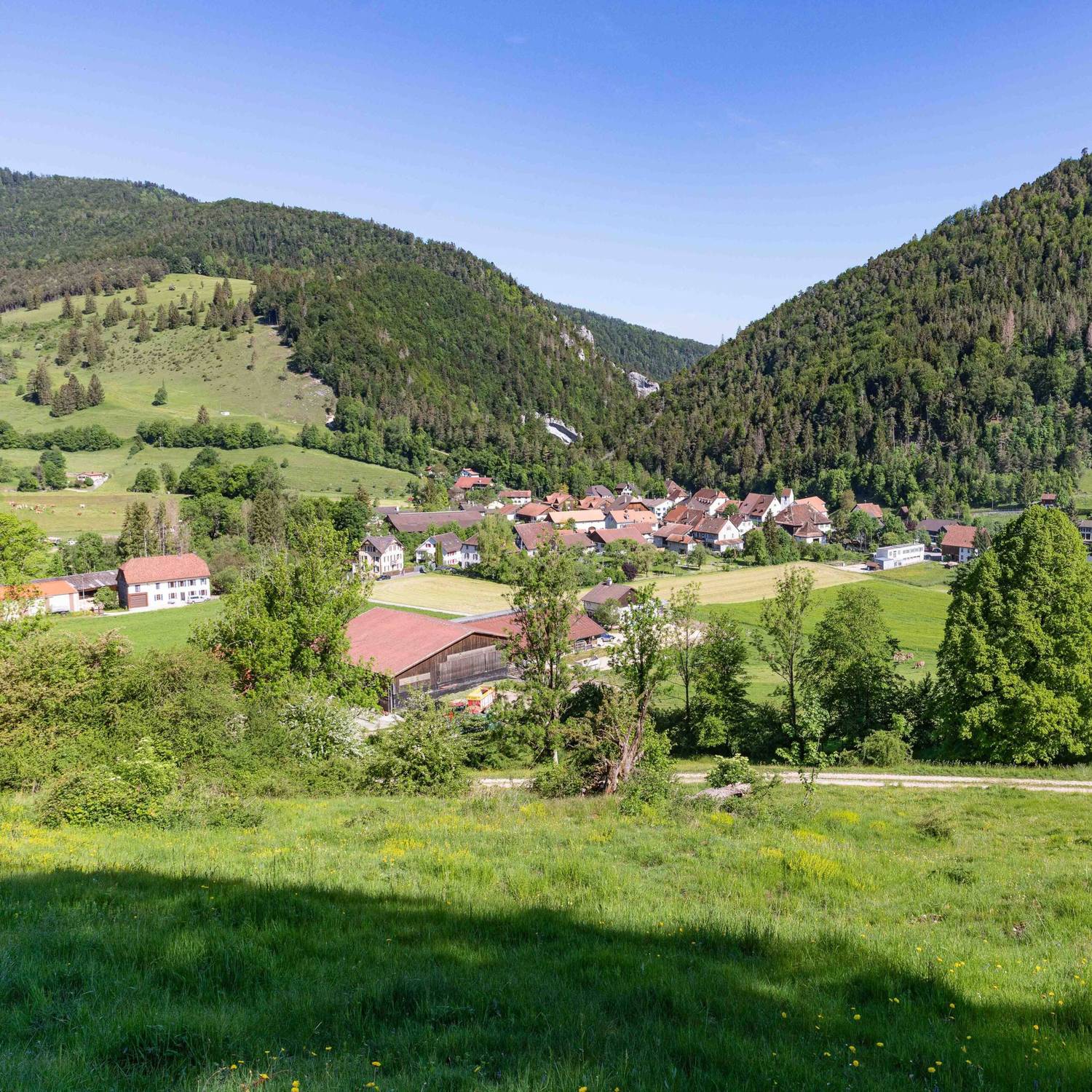 Informations - Finances Haute-Sorne