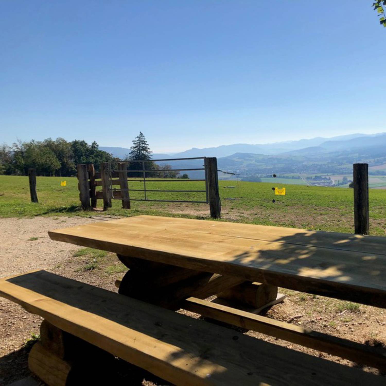 Cabane forestière "La Morée"