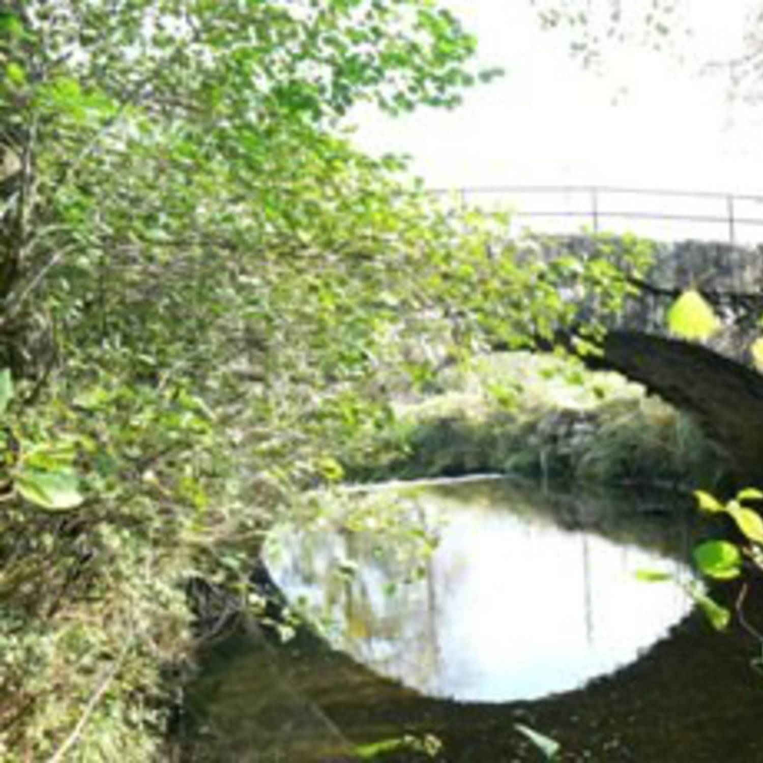 Pont de la route de Develier coté Ouest