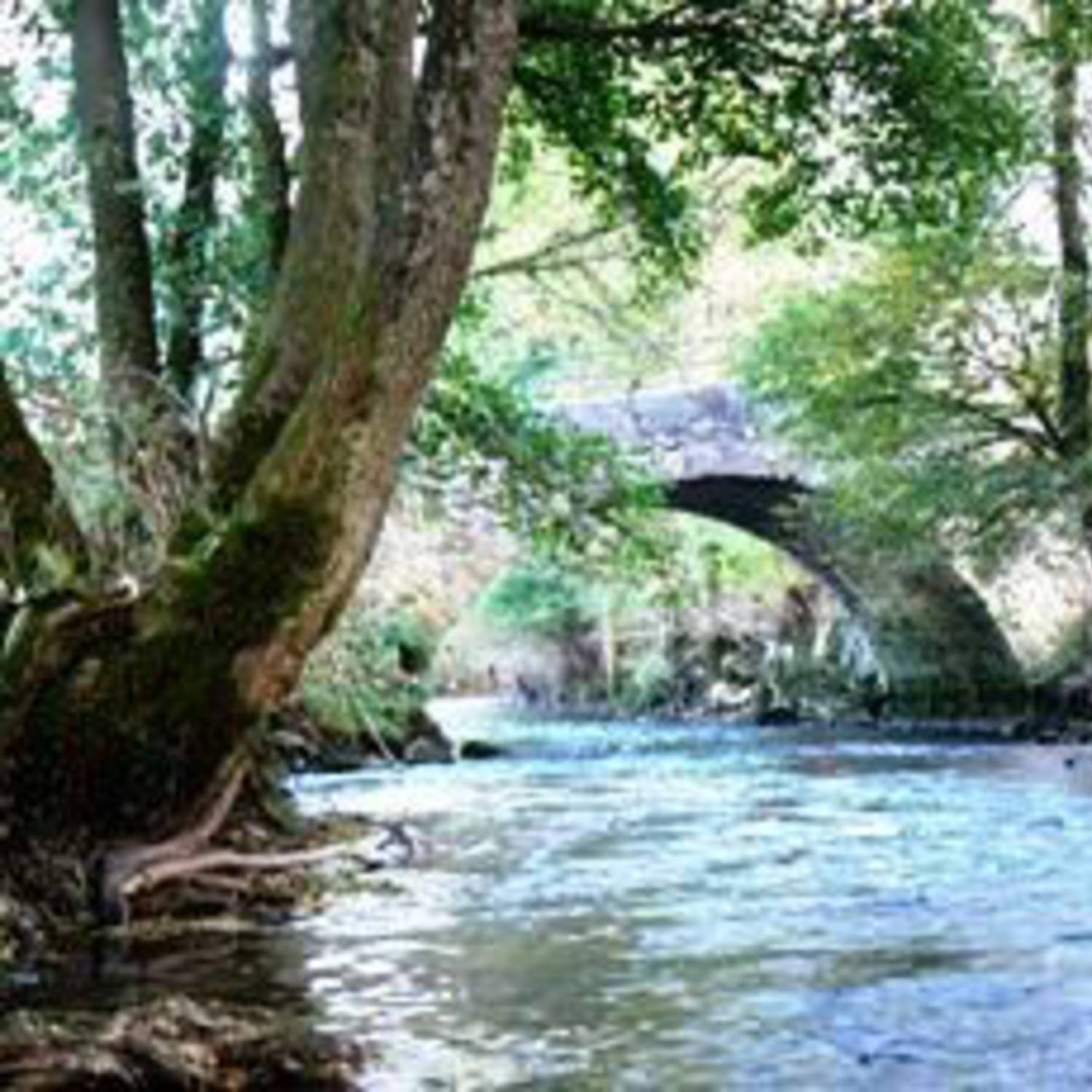 Pont des Neufs-Champs coté Ouest