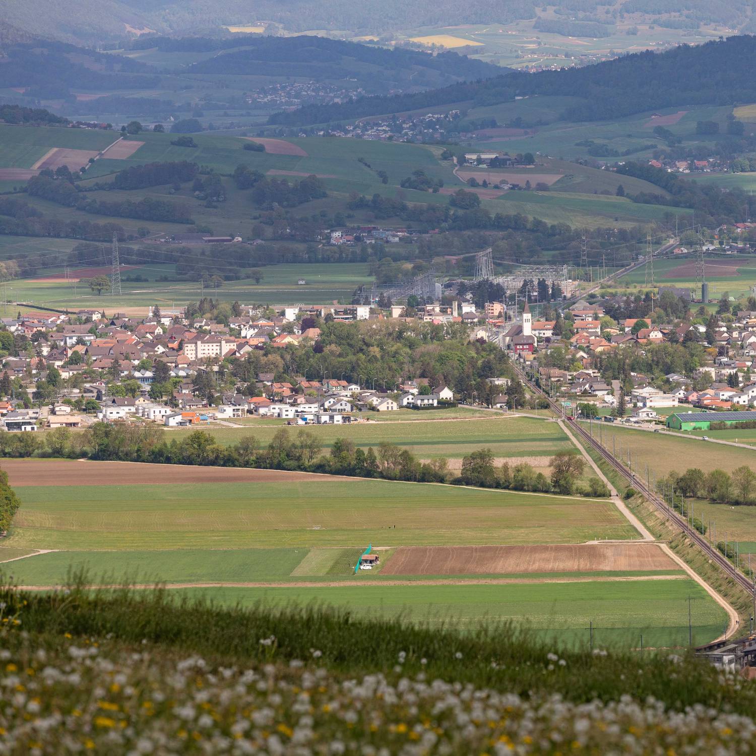 Description de l'image