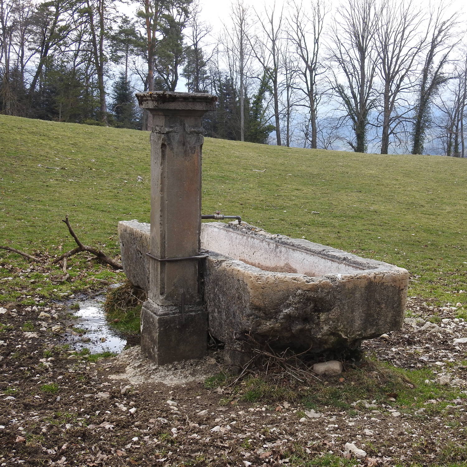 Description de l'image