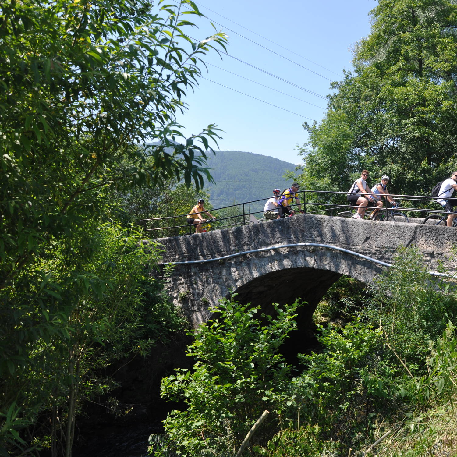 Description de l'image