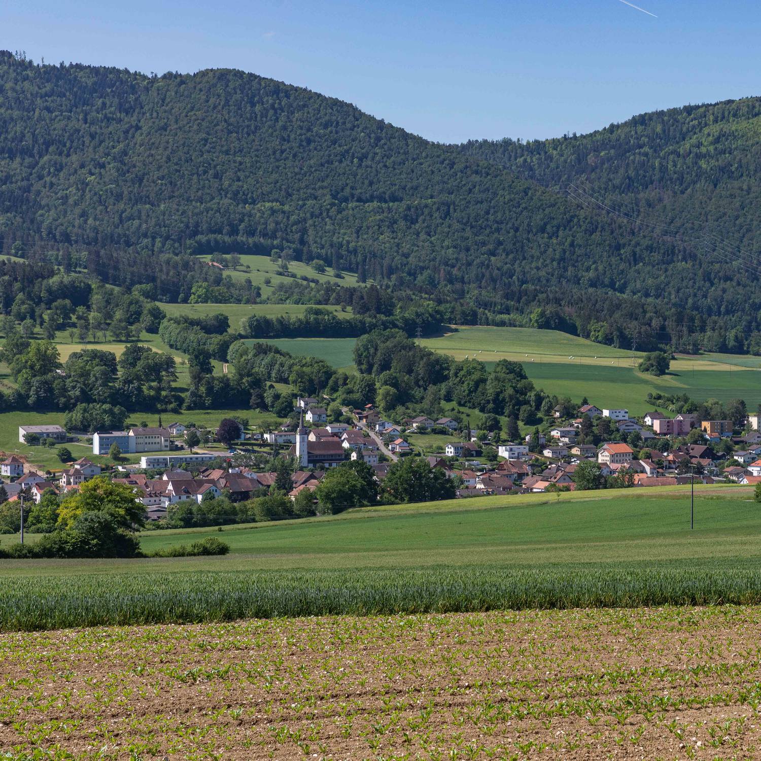 Description de l'image