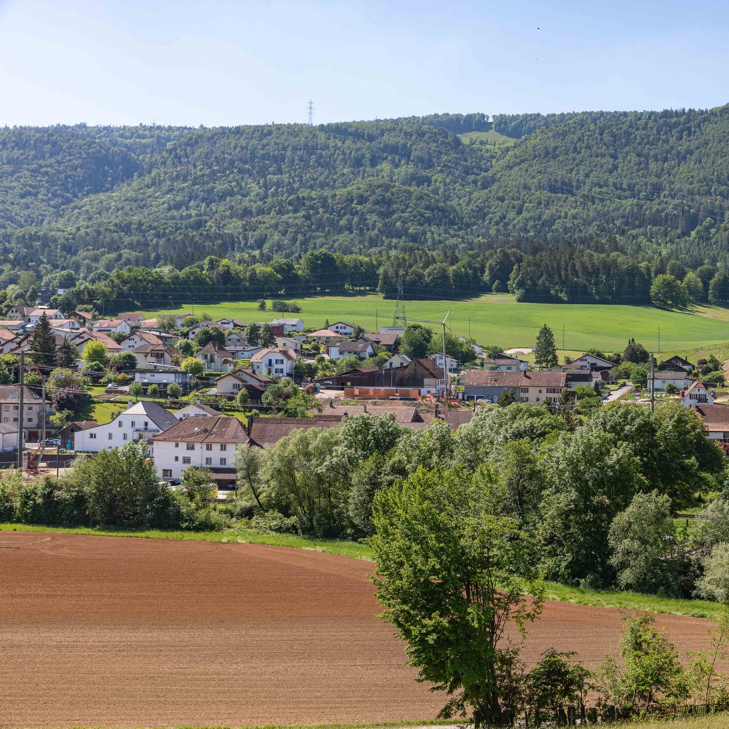 Description de l'image