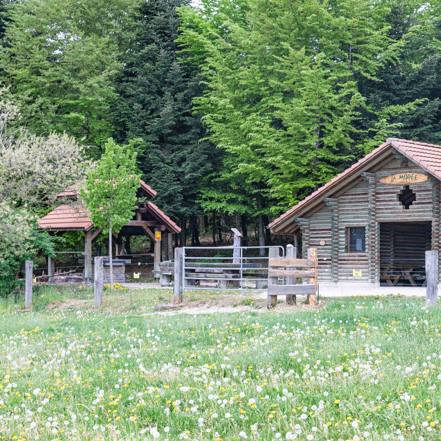 Description de l'image