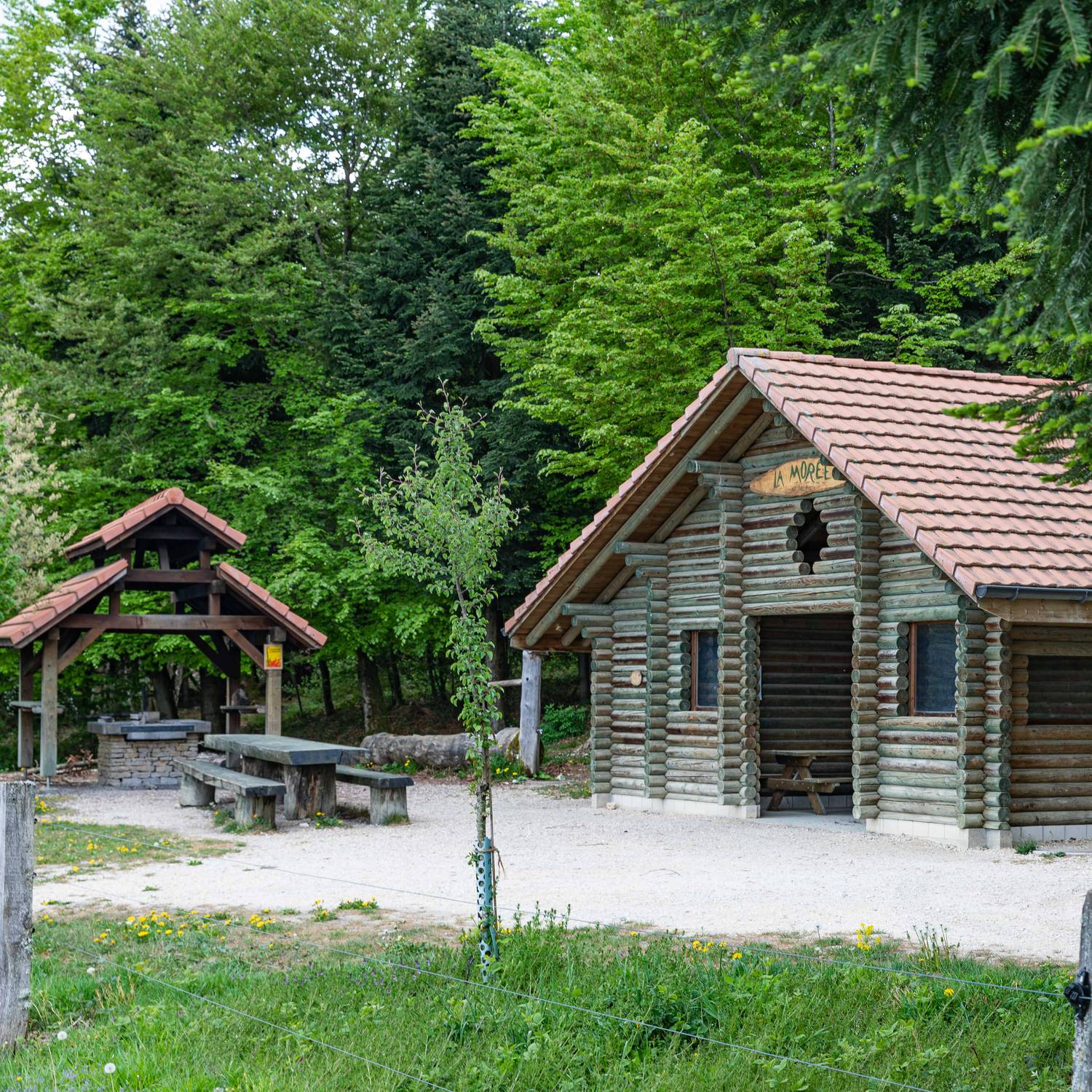Description de l'image