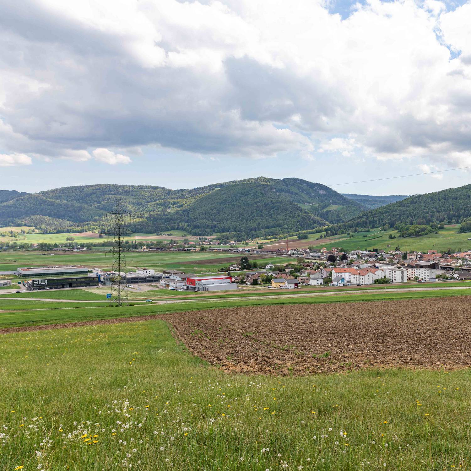 Description de l'image