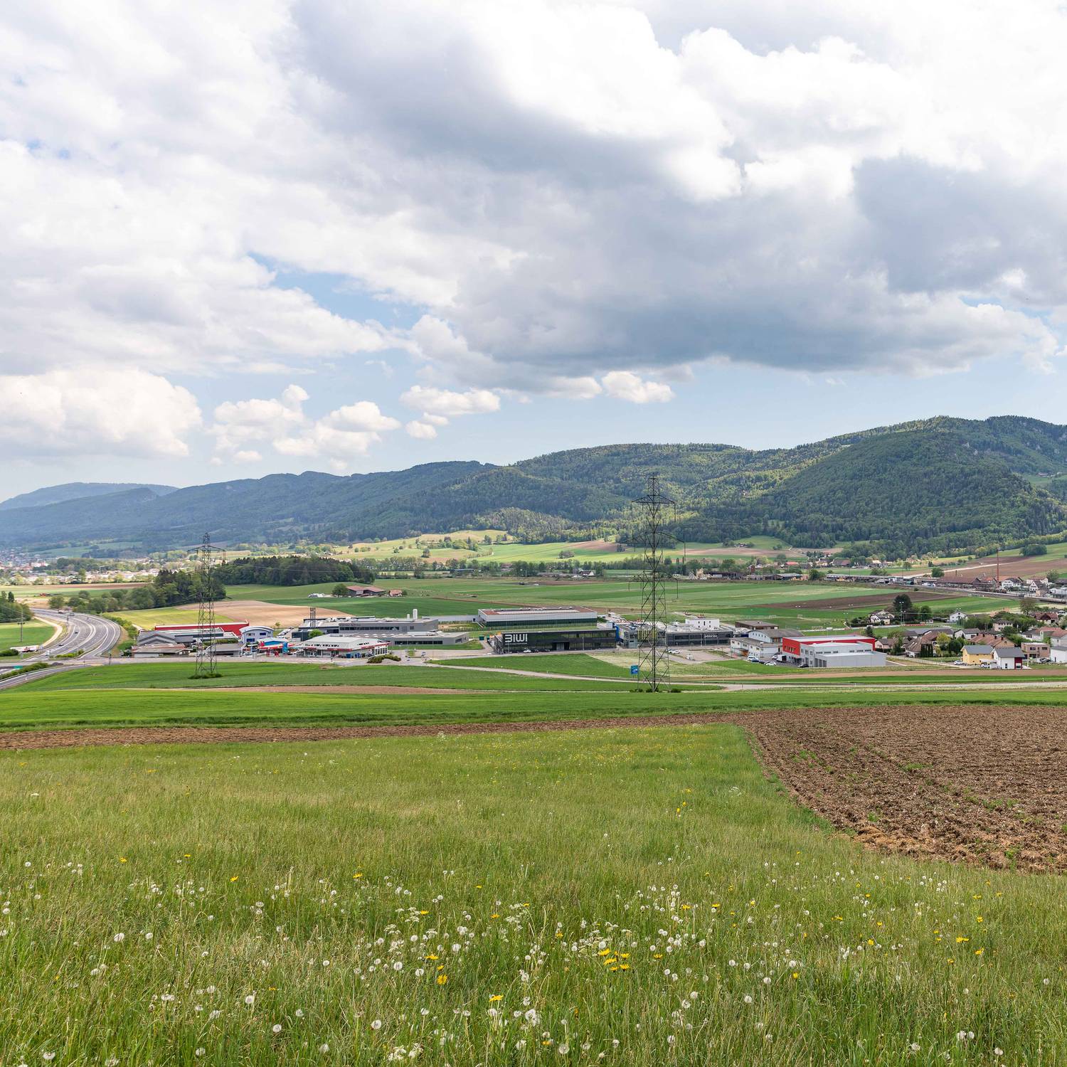 Description de l'image