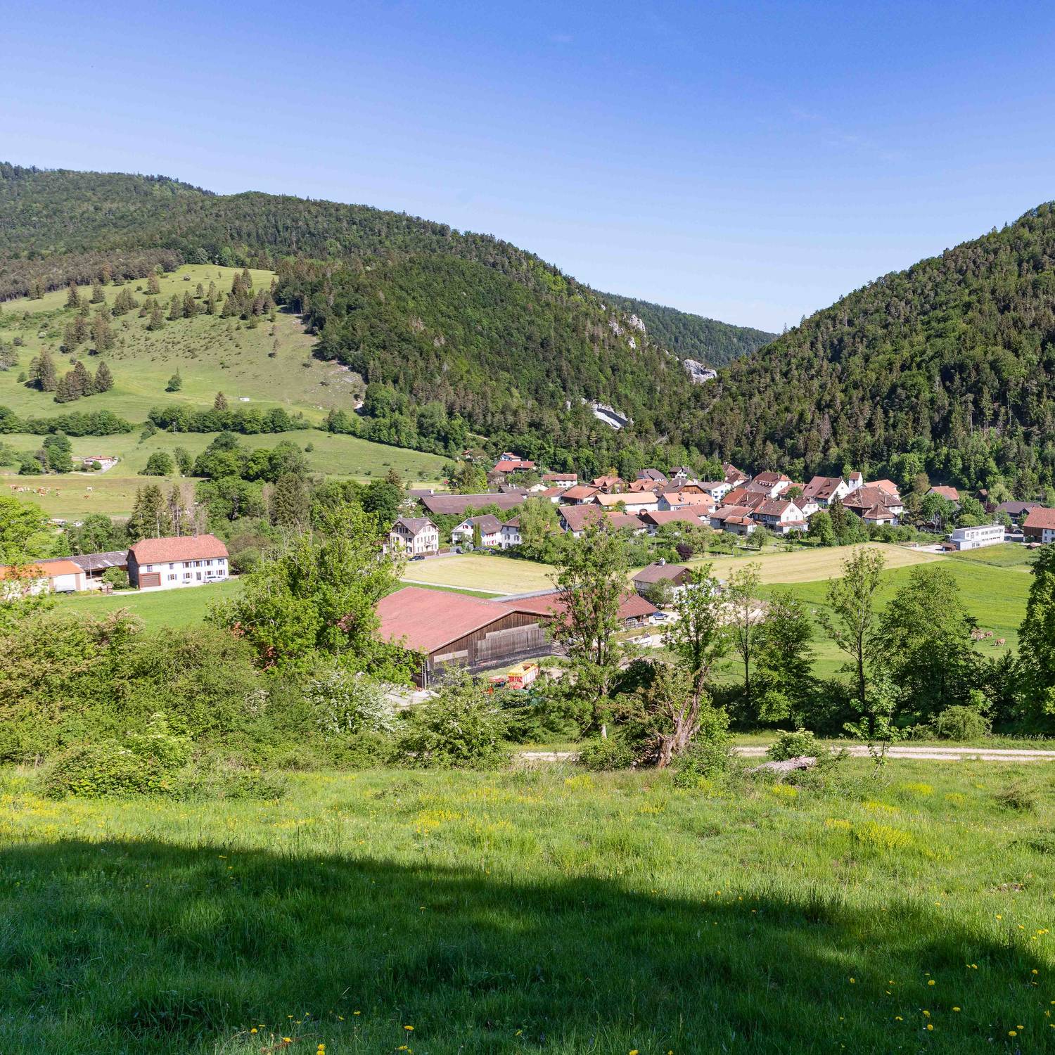Description de l'image