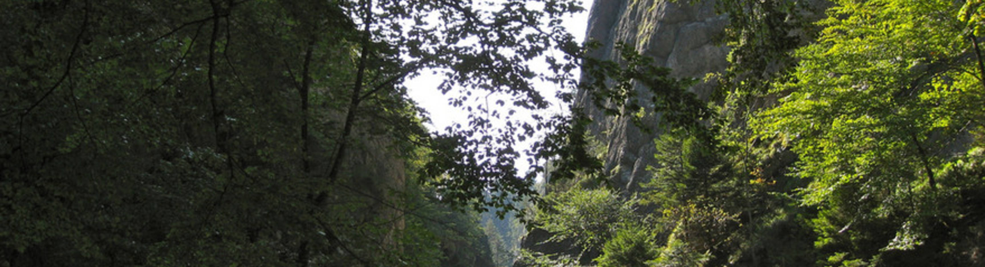 Gorges du Pichoux