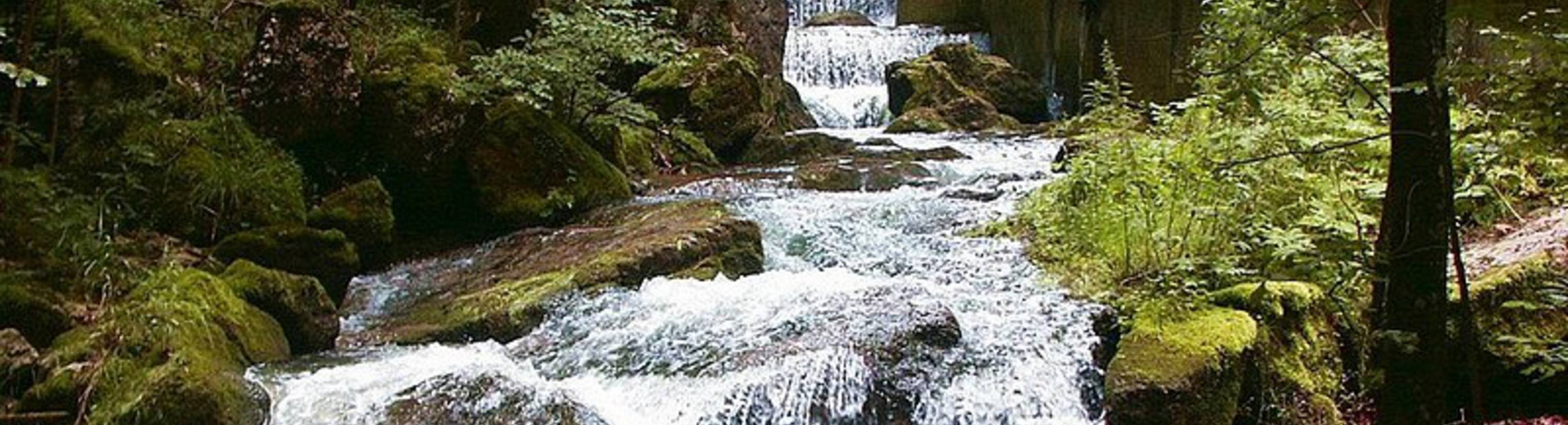 Gorges du Pichoux 
