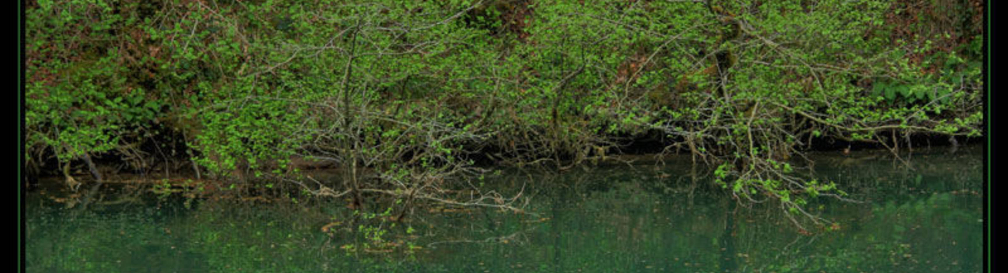 Le Lac Vert 2