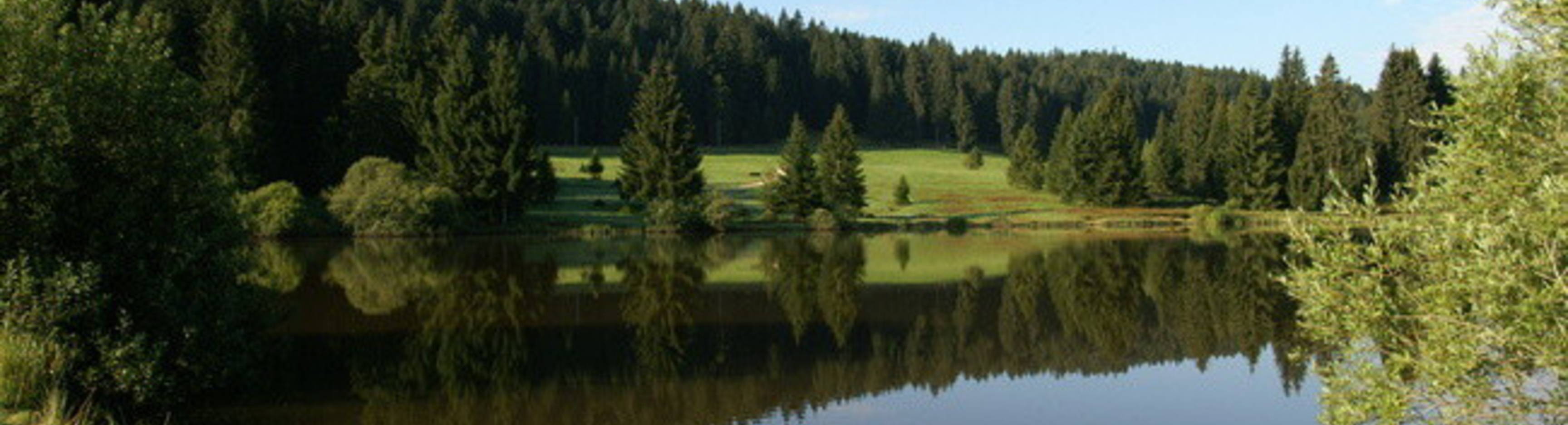 La Combe Tabeillon
